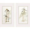 Framed Art-Kirkland's Home Stilt Birds Framed Art Prints, Set Of 2 White/Tan