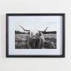 Framed Art-Kirkland's Home Stoic Steer Framed Art Print Black/White