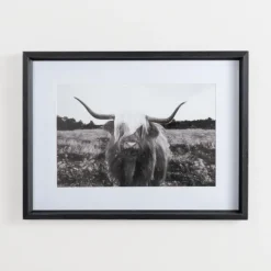 Framed Art-Kirkland's Home Stoic Steer Framed Art Print Black/White