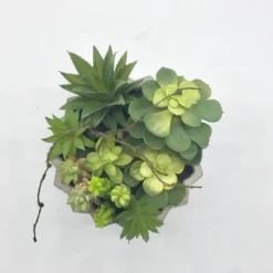 Arrangements & Greenery-Kirkland's Home Succulent Arrangement In Zig-Zag Gray Planter Green/White