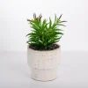 Arrangements & Greenery-Kirkland's Home Succulent In Ribbed White Planter Green/White