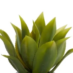 Arrangements & Greenery-Kirkland's Home Succulent In Sleek Black Planter Green/Black