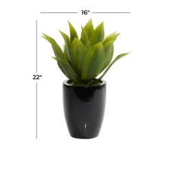 Arrangements & Greenery-Kirkland's Home Succulent In Sleek Black Planter Green/Black