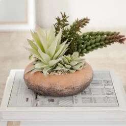 Arrangements & Greenery-Kirkland's Home Succulent Mix In Round Terracotta Planter Green/Orange