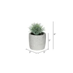 Arrangements & Greenery-Kirkland's Home Succulents In Ceramic Pots, Set Of 4 Green