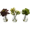 Arrangements & Greenery-Kirkland's Home Succulents In Glass Vases, Set Of 3 Green