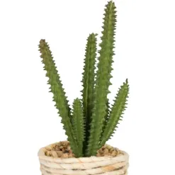 Arrangements & Greenery-Kirkland's Home Succulents In Twine Planters, Set Of 3 Green/Tan