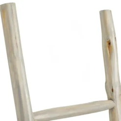 Decorative Accents-Kirkland's Home Teak Wood Leaning Ladder White