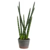 Arrangements & Greenery-Kirkland's Home Tiger Tail Succulent In Distressed Planter Green