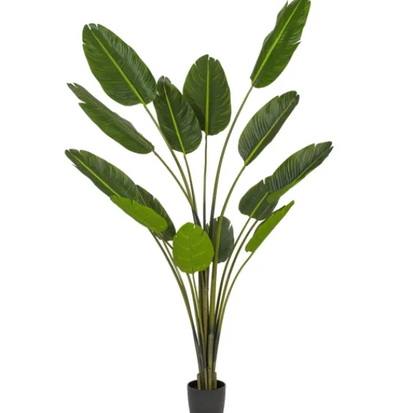 Trees & Topiaries-Kirkland's Home Travelers Palm Potted Tree, 7 Ft.