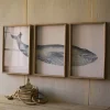 Framed Art-Kirkland's Home Triptych Whale Framed Art Prints, Set Of 3 White/Blue