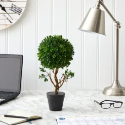Trees & Topiaries-Kirkland's Home Uv-Safe Boxwood Topiary In Nursery Planter