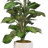 Stems & Bouquets-Kirkland's Home Variegated Hosta Plant In Textured Planter Green/White
