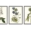 Framed Art-Kirkland's Home Vintage Blue Flowers Framed Art Prints, Set Of 3 Green/Blue