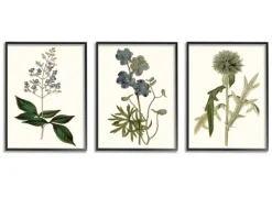 Framed Art-Kirkland's Home Vintage Blue Flowers Framed Art Prints, Set Of 3 Green/Blue