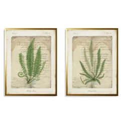 Framed Art-Kirkland's Home Vintage Green Ferns Framed Art Prints, Set Of 2 Tan/Green