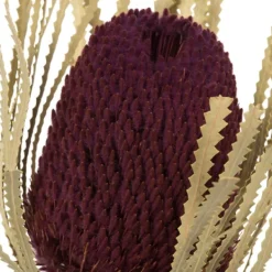 Stems & Bouquets-Kirkland's Home Violet Dried Jumbo Banksia Stems, Set Of 3 Purple