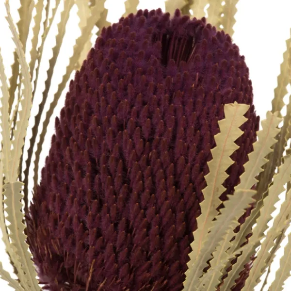 Stems & Bouquets-Kirkland's Home Violet Dried Jumbo Banksia Stems, Set Of 3 Purple