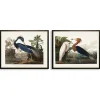 Framed Art-Kirkland's Home Water Birds Framed Art Prints, Set Of 2 Multi