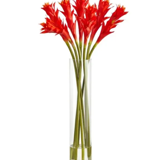 Arrangements & Greenery-Kirkland's Home Watered Star Bromeliad Bouqet In Glass Vase Pink/Green