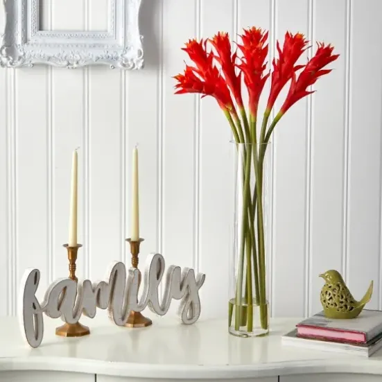 Arrangements & Greenery-Kirkland's Home Watered Star Bromeliad Bouqet In Glass Vase Pink/Green