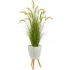 Trees & Topiaries-Kirkland's Home Wheat Grass In White Planter
