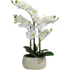 Arrangements & Greenery-Kirkland's Home White Orchid In Round Ceramic Bowl White/Green