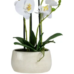 Arrangements & Greenery-Kirkland's Home White Orchid In Round Ceramic Bowl White/Green