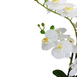 Arrangements & Greenery-Kirkland's Home White Orchid In Round Ceramic Bowl White/Green