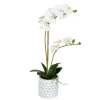 Arrangements & Greenery-Kirkland's Home White Orchid Real Touch Arrangement In Ceramic Pot White/Green