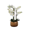 Arrangements & Greenery-Kirkland's Home White Real Touch Orchid Arrangement In Gold Pot White/Gold