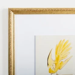 Framed Art-Kirkland's Home Yellow Free Bird Gold Framed Art Print Yellow/White